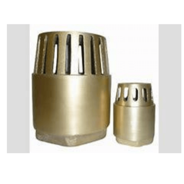 Check valve made in Bronze 25mm